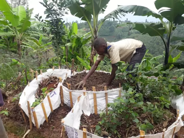 CHH - Landwirtschaft, Kitchengarden