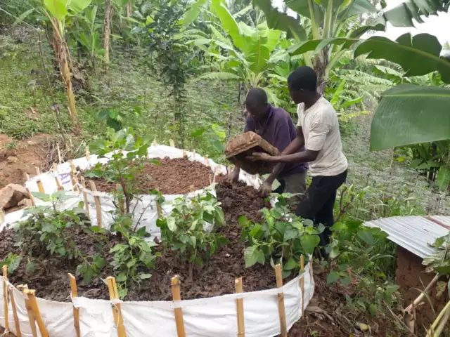 CHH - Landwirtschaft, Kitchengarden