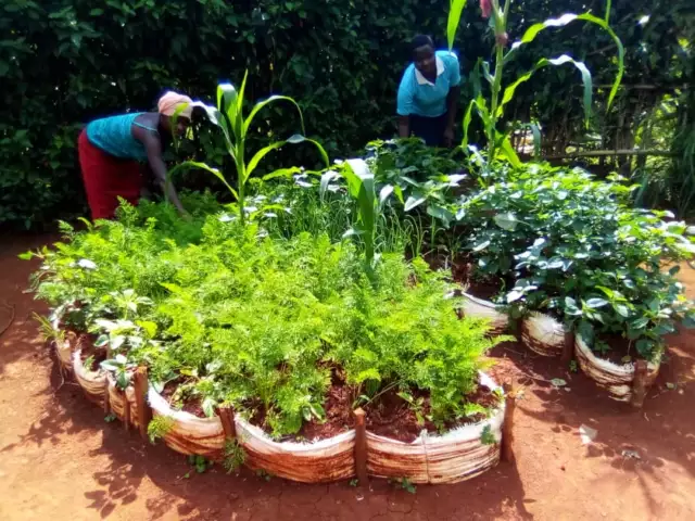 CHH - Landwirtschaft, Kitchengarden